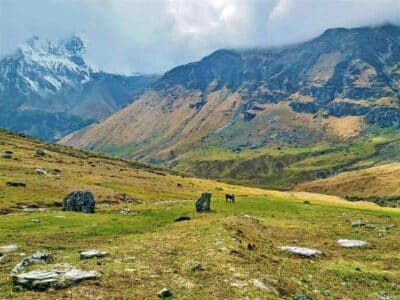 Pindari Glacier Trek