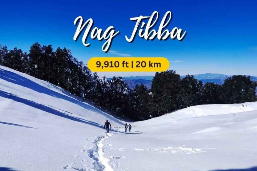 Nag Tibba Trek