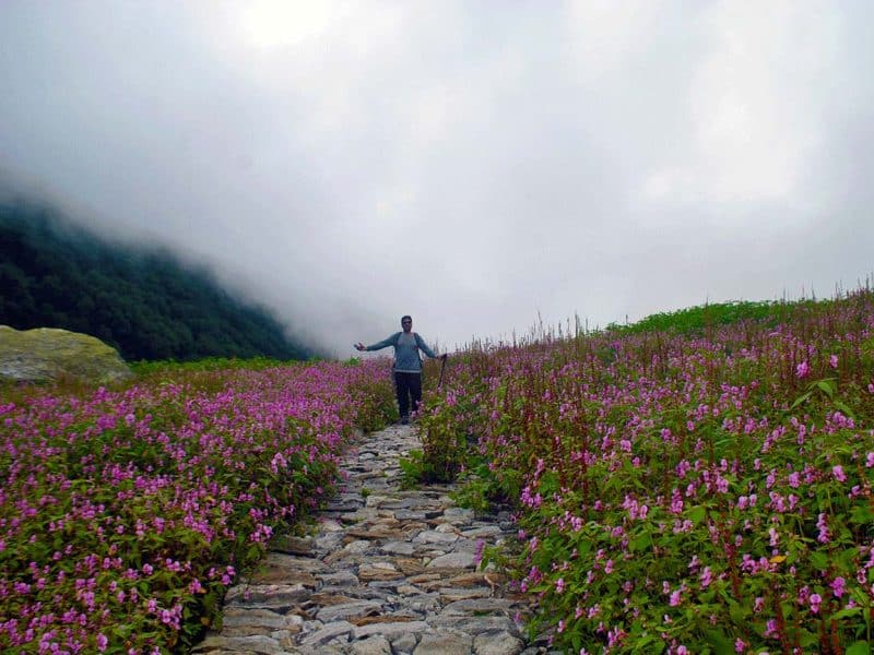 Valley of Flowers Nomad 1