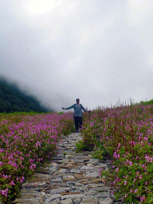 Discover the Enchanting Valley of Flowers trek